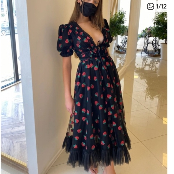 Lirika Matoshi Dresses & Skirts - Lirika Matoshi Black Strawberry Dress tulle goth cottage core Small